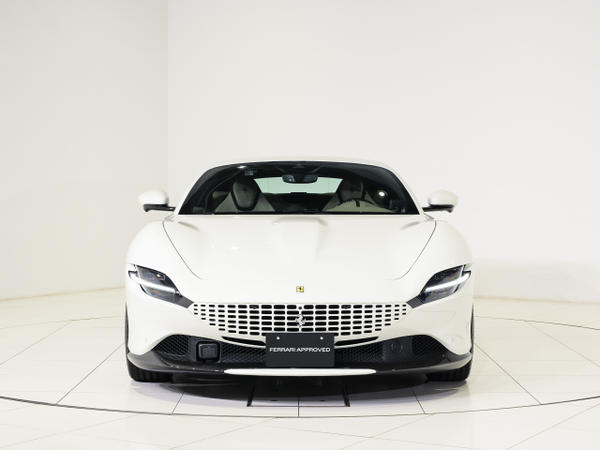 FERRARI CORNES フェラーリ コーンズ サイドミラー手鏡 ステンレス FERRARI CORNES フェラーリ コーンズ サイドミラー手鏡